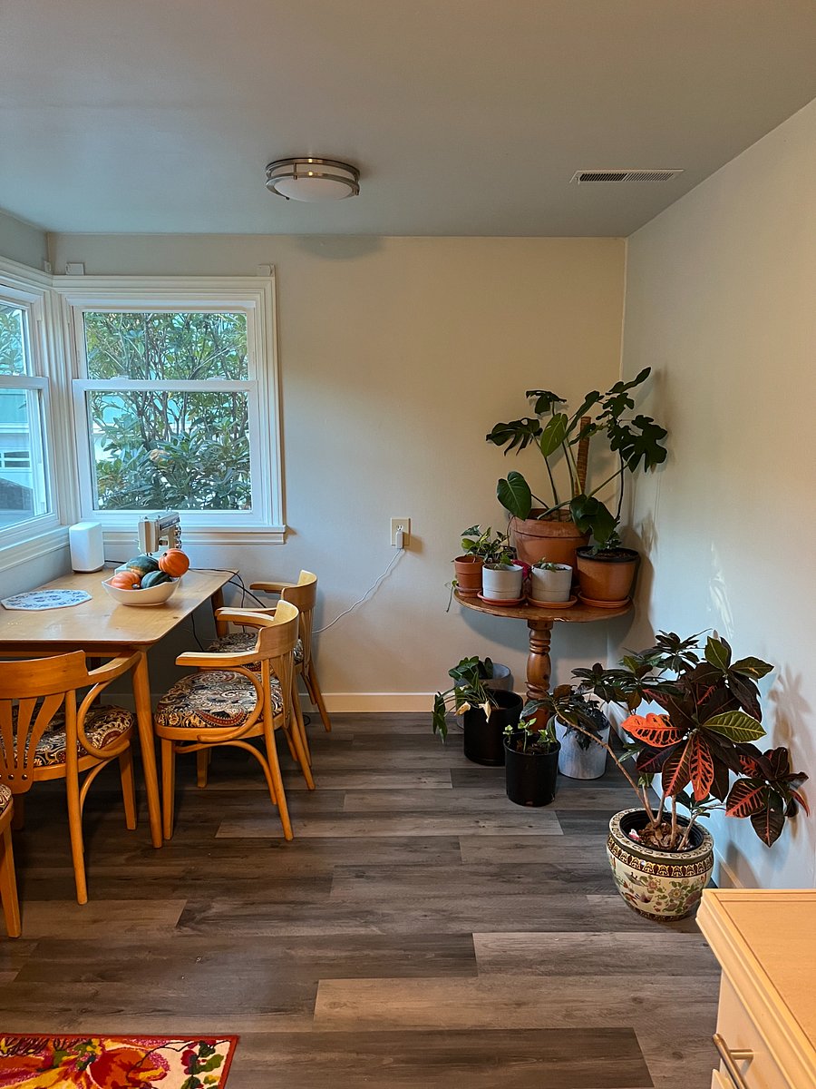 dining room - table can be moved to middle and plants are now less :)