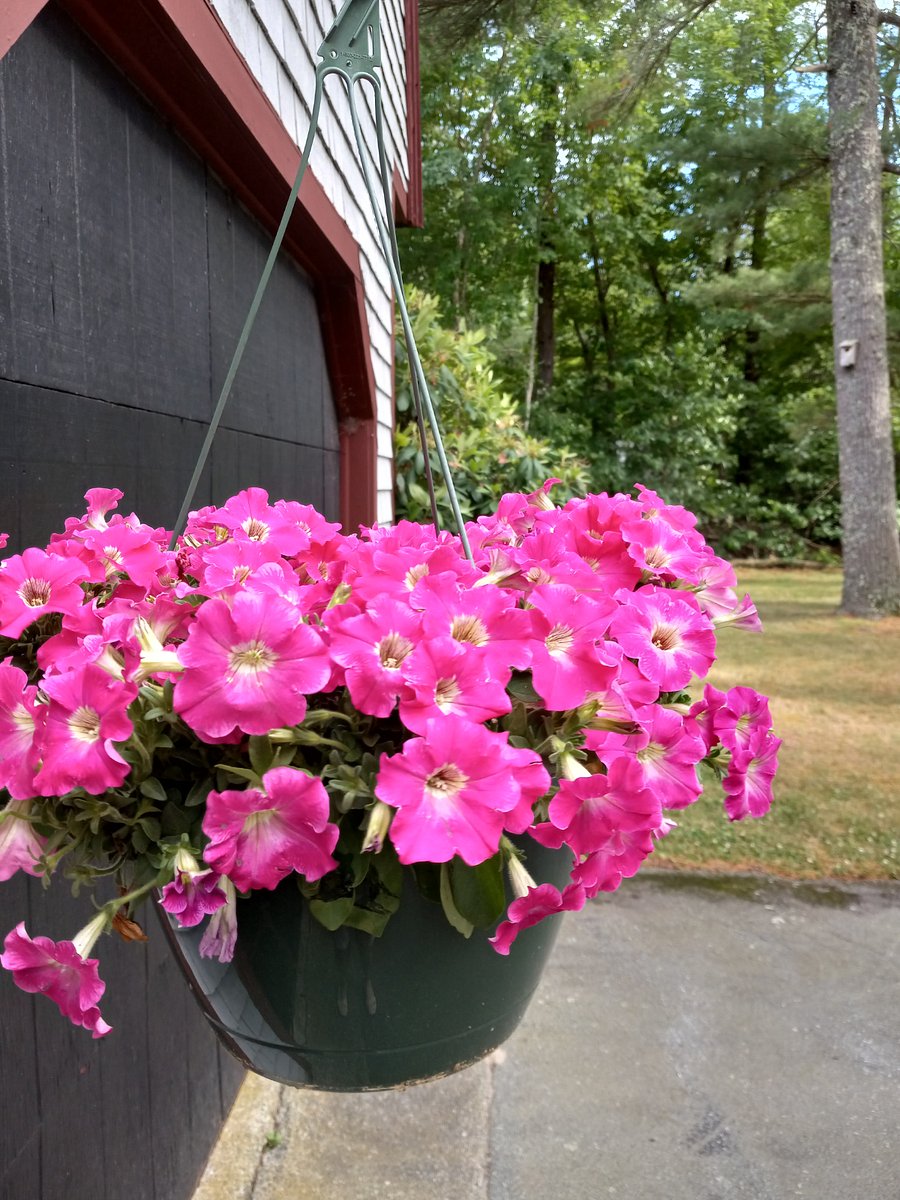 Furnished Finder property 668614_2 photo 12