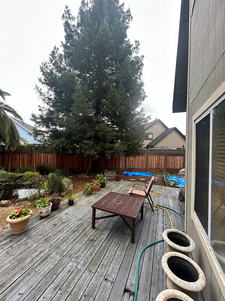 Furnished Finder property 668616_1 photo 21