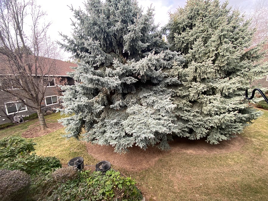view off the back patio