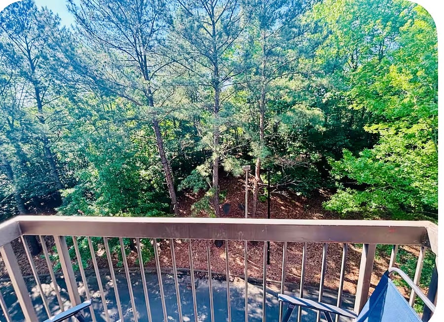 Balcony view to the wooded area. 