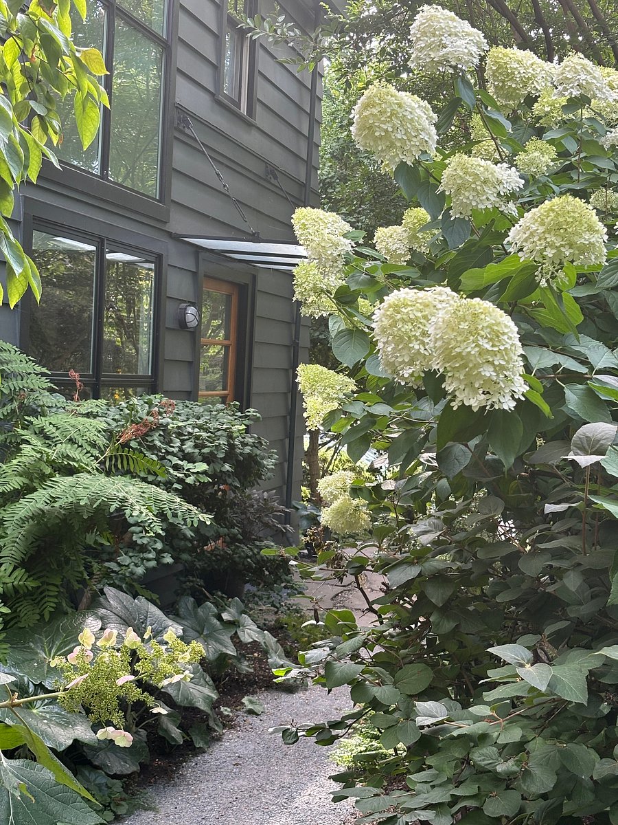 View of front entry (facing west), mature plantings with spring and summer interest.