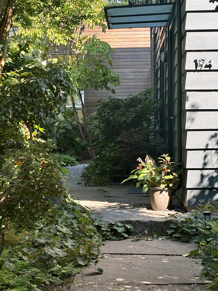 Entry walkway, summer garden. Walking eastward.