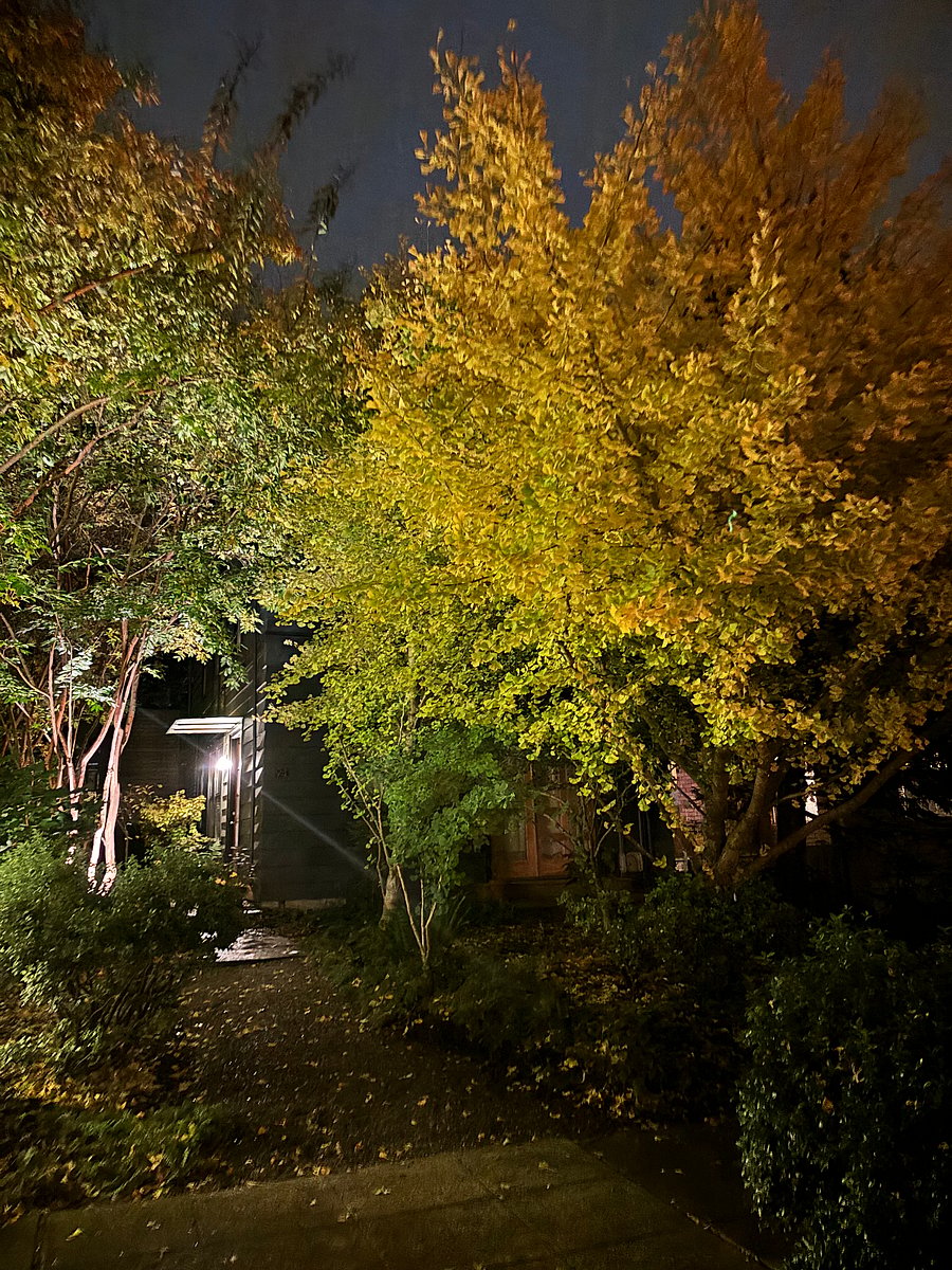 Evening view of entrance (fall colors). Mature gardens (no grass yard) with seasonal interest, varied trees.