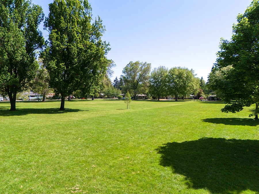 Open green space for walking and relaxing