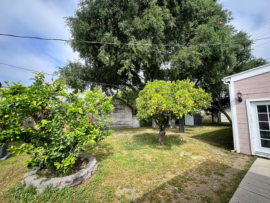 Furnished Finder property 668856_1 photo 19