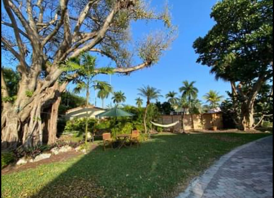 Garden