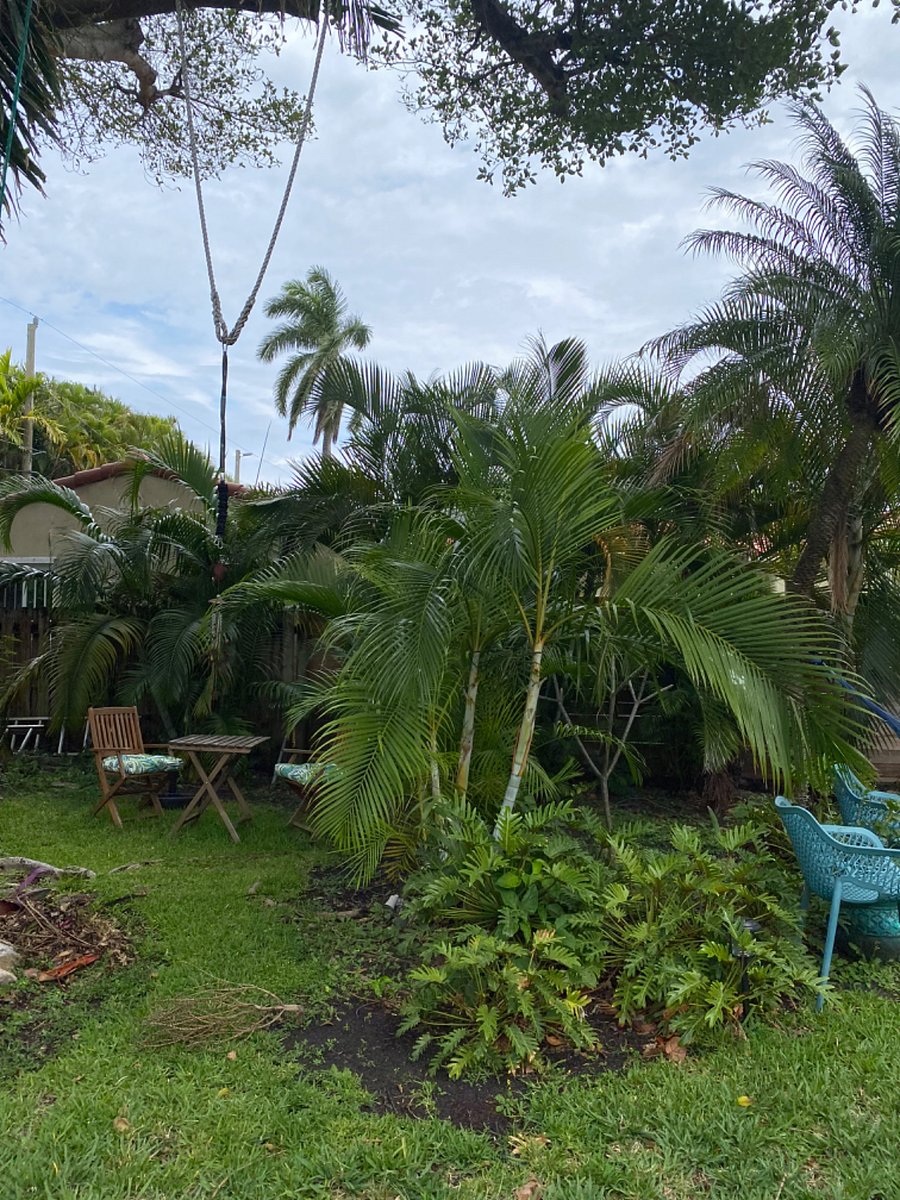 Guests garden space