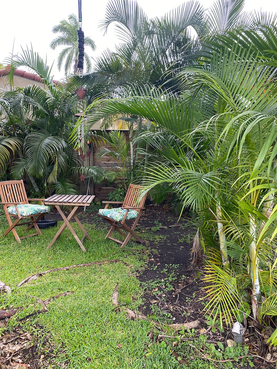 Guests garden space