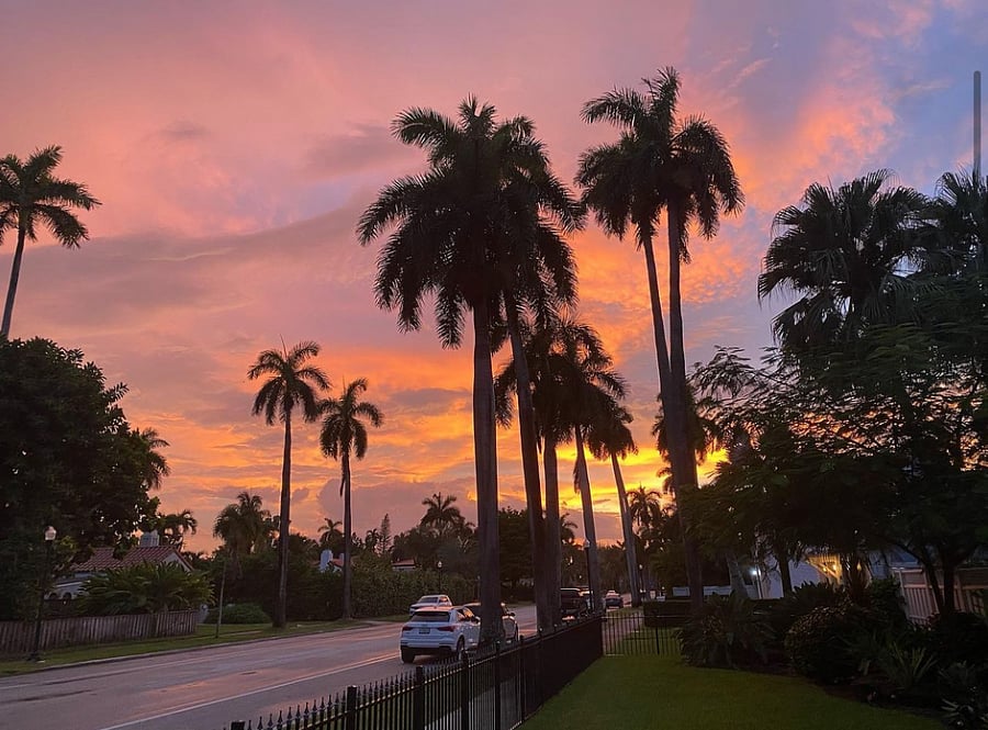 Our street