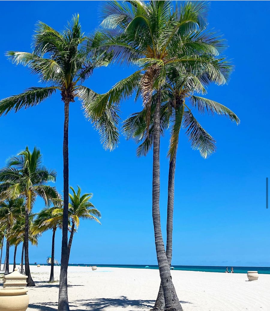 Hollywood Beach