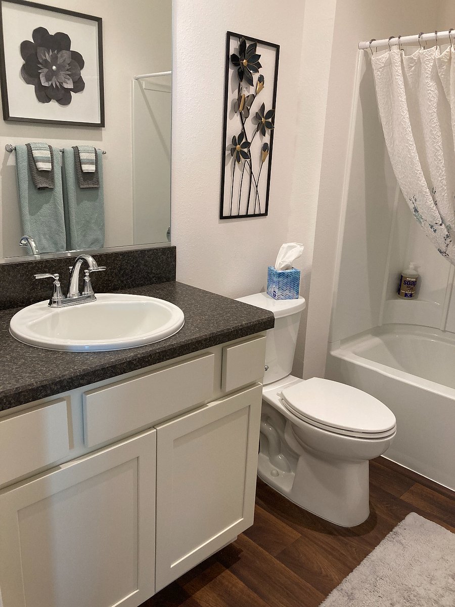 Guest bathroom
