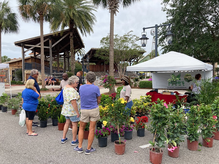 Brownwood Paddock Square - Farmers Market