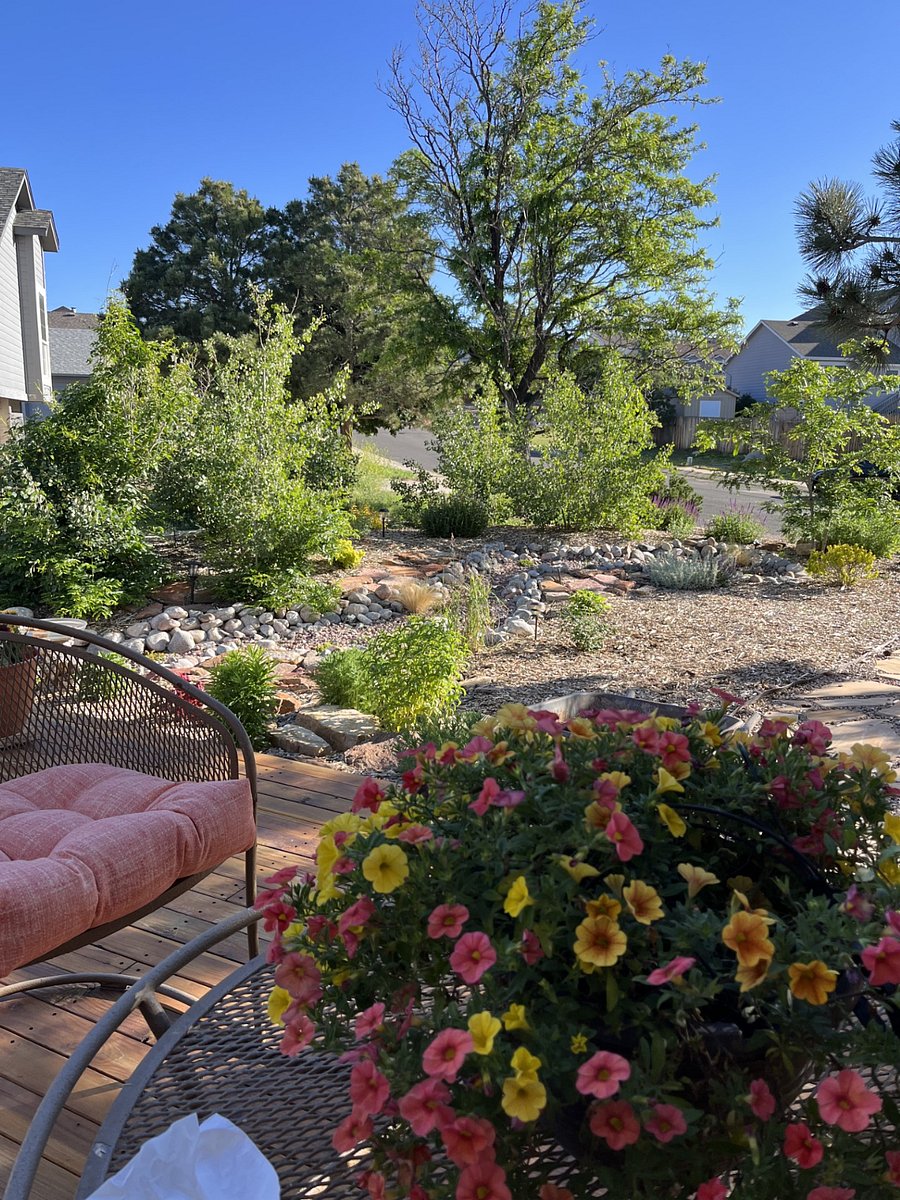 Front yard