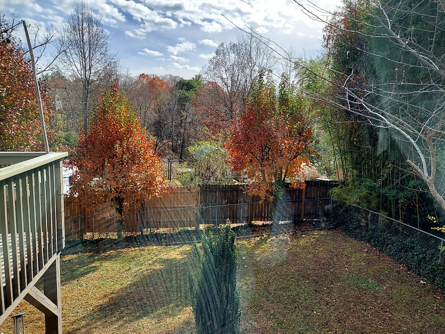 Furnished Finder property 669178_1 photo 28