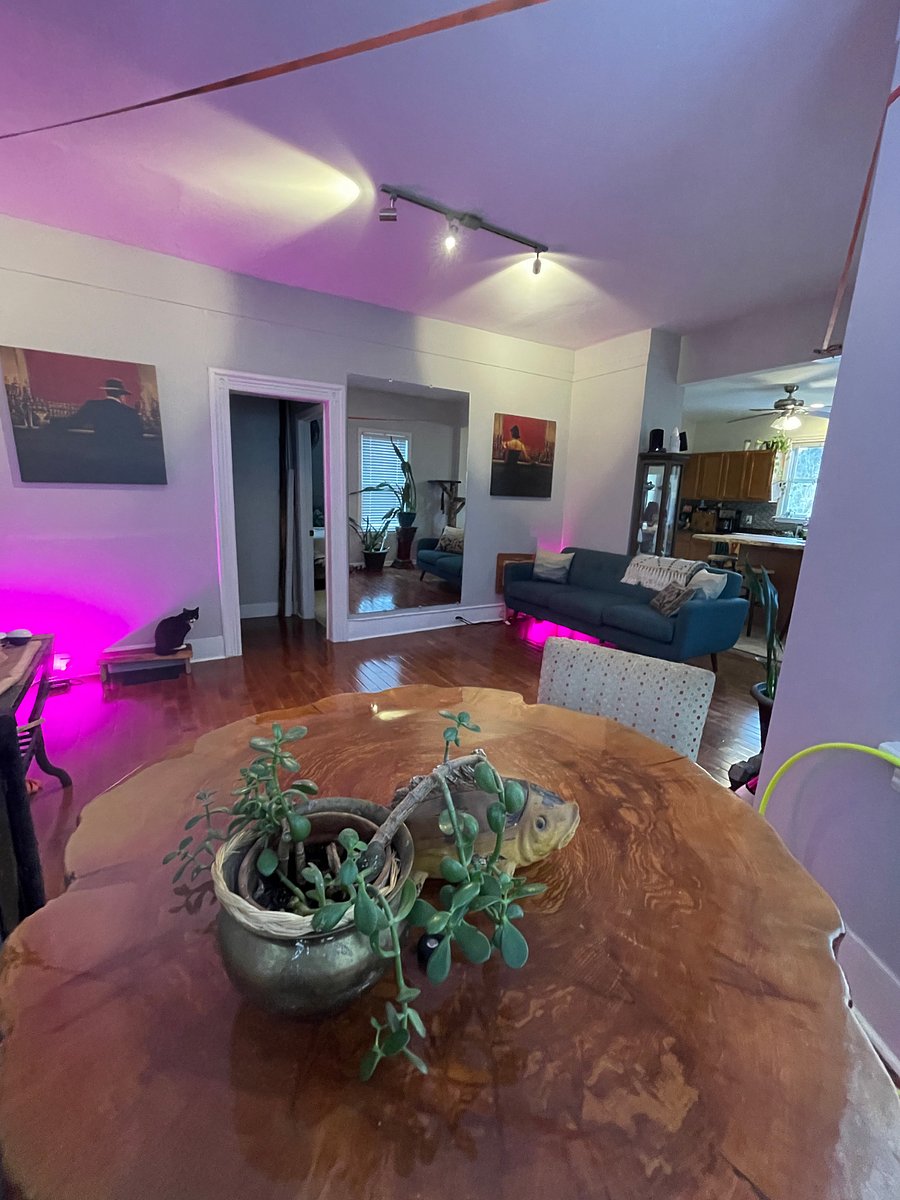 Furnished Finder property 669179_1 photo 8