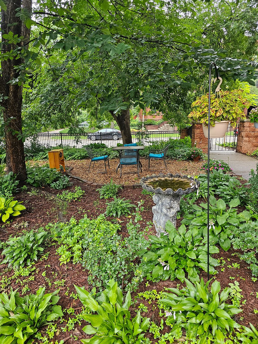 Peaceful seating area, backyard