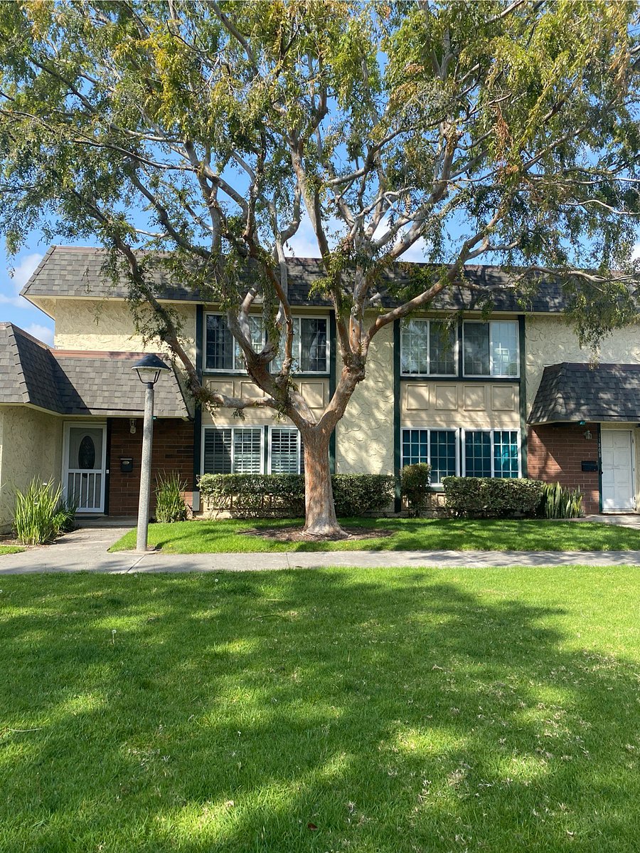 Furnished Finder property 669540_1 photo 5