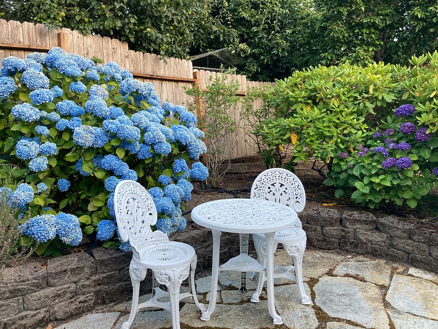 Private patio-access from back bedroom