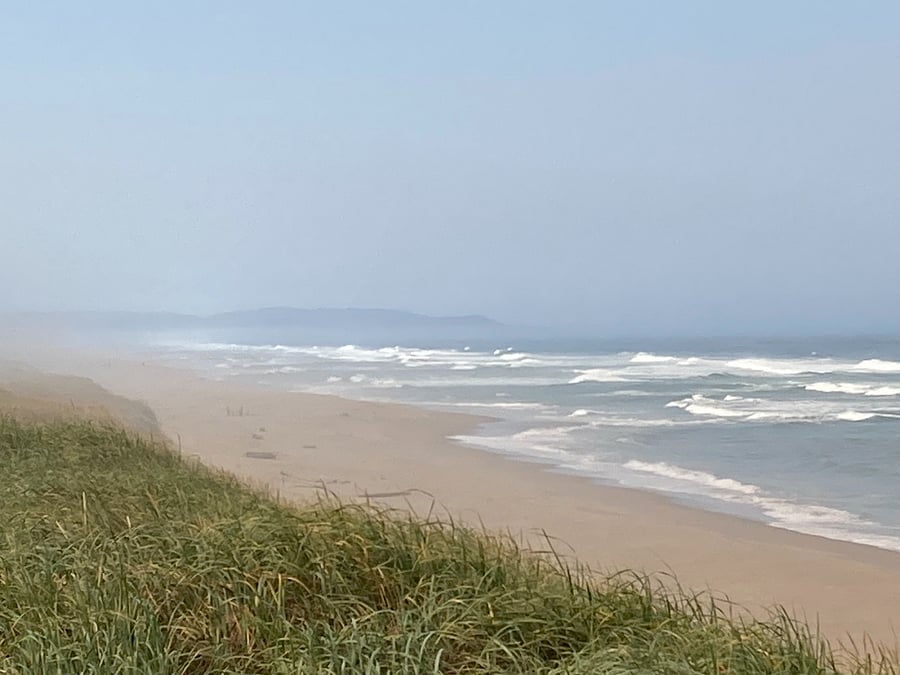 Horsfall beach