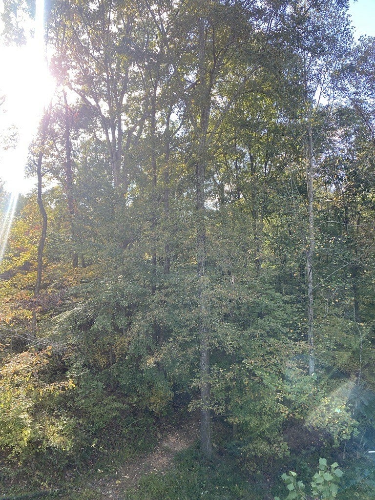 late summer