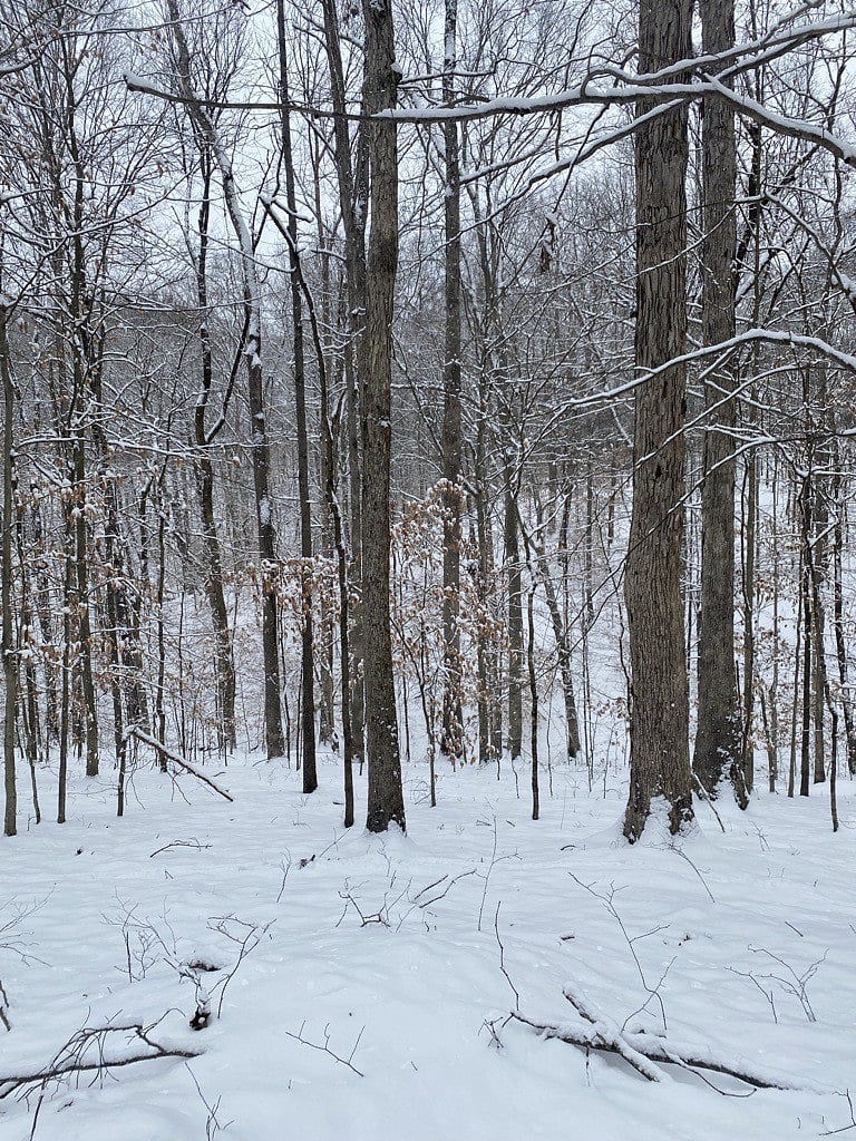 Beautiful in any season