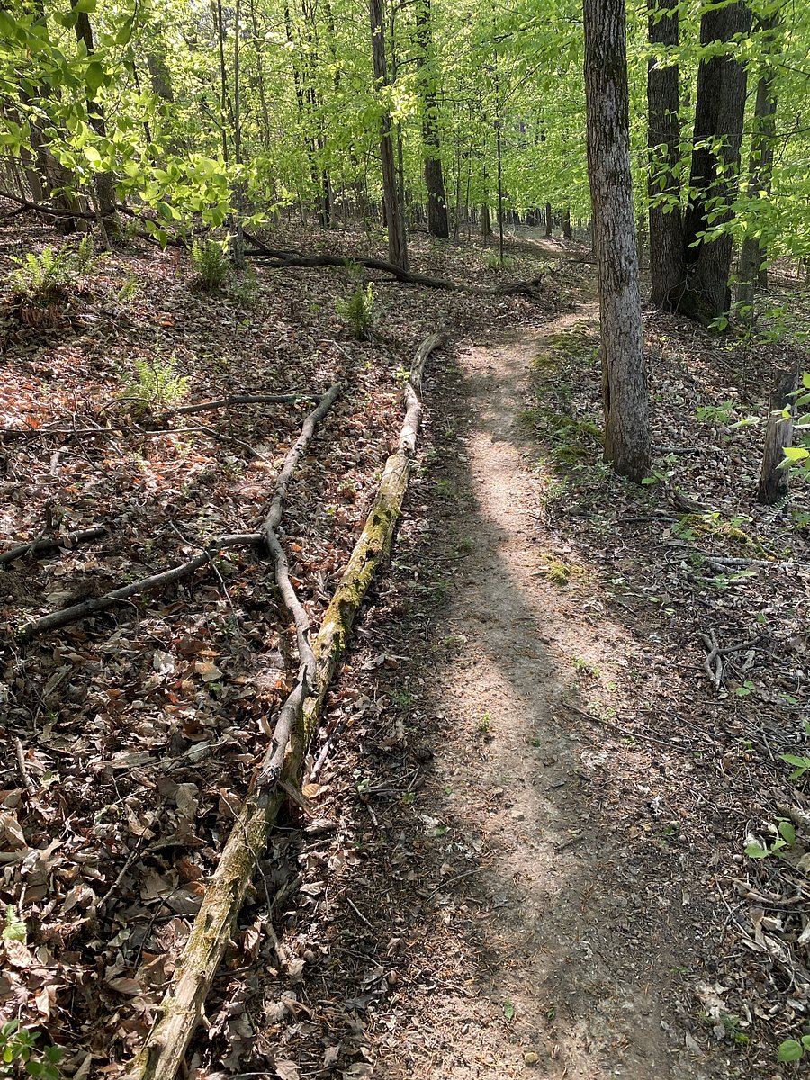 walking trail