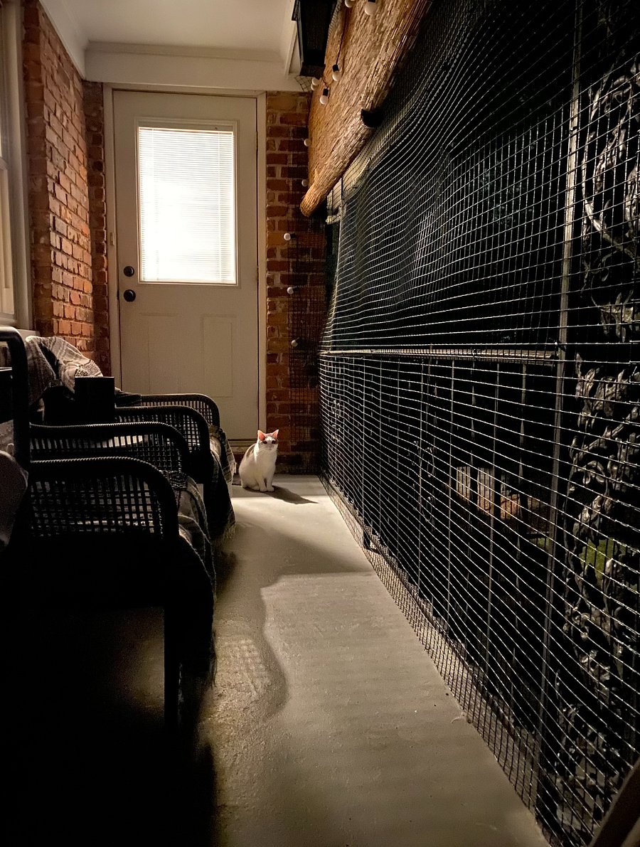The Catio balcony