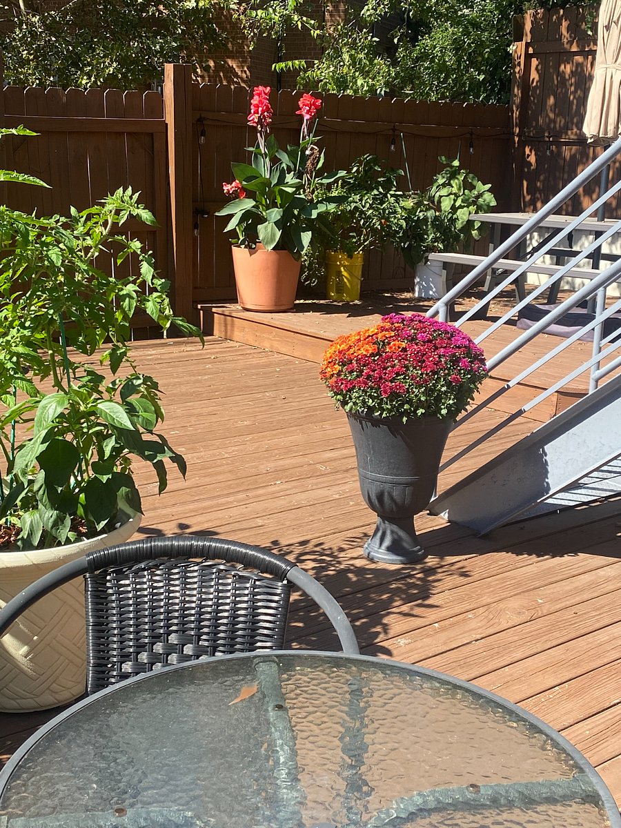 Furnished Finder property 670225_2 photo 19