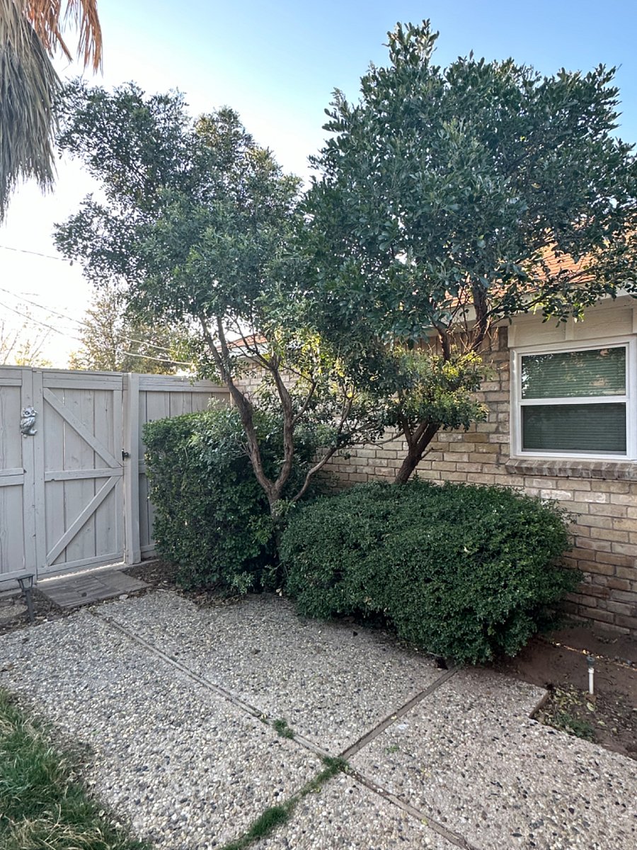 Furnished Finder property 670375_1 photo 26