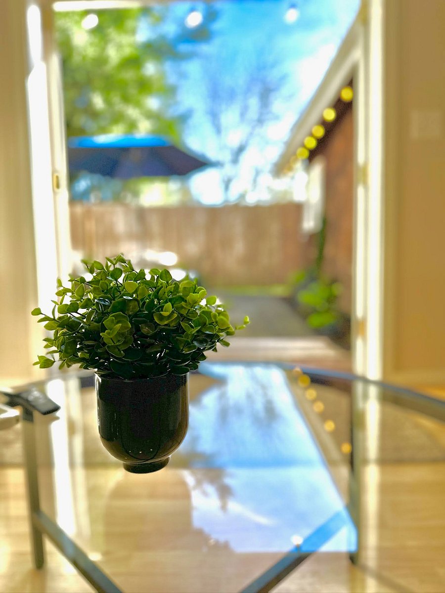 Furnished Finder property 670482_1 photo 21