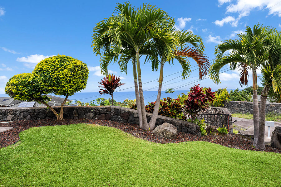 Front yard