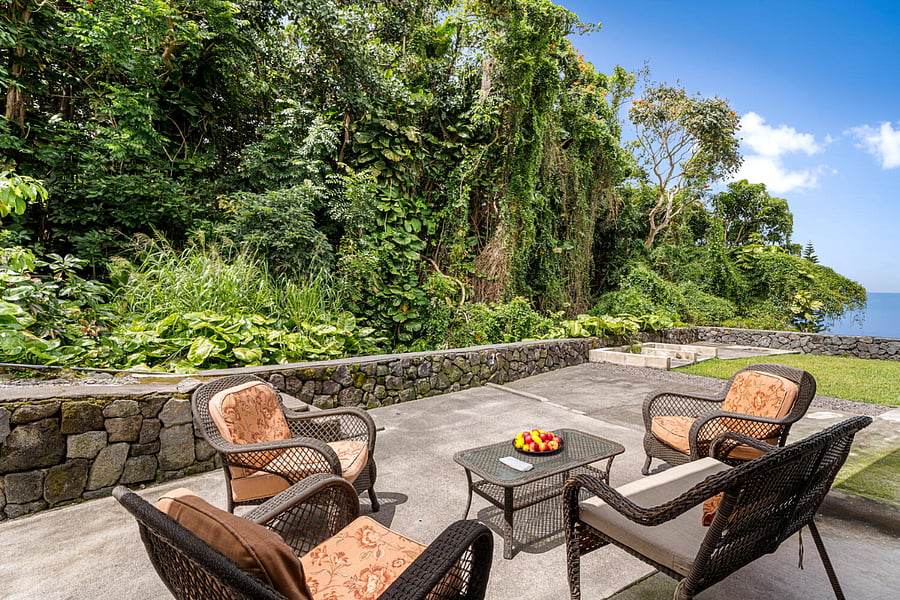Enjoy the tropical sounds of coqui frogs and exotic birds from the back lanai / back patio