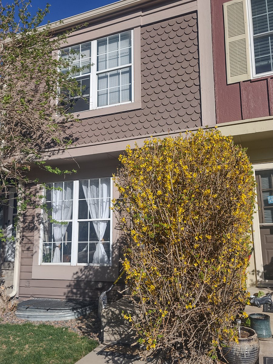Furnished Finder property 670788_1 photo 12