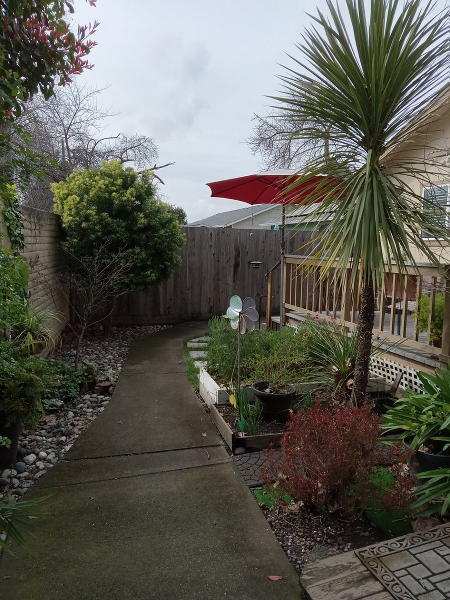 Rear deck and yard