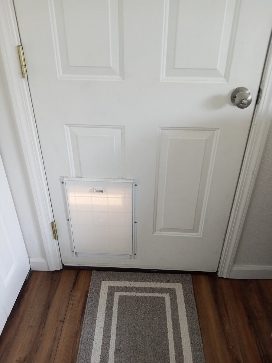 Entry door with medium size doggy door