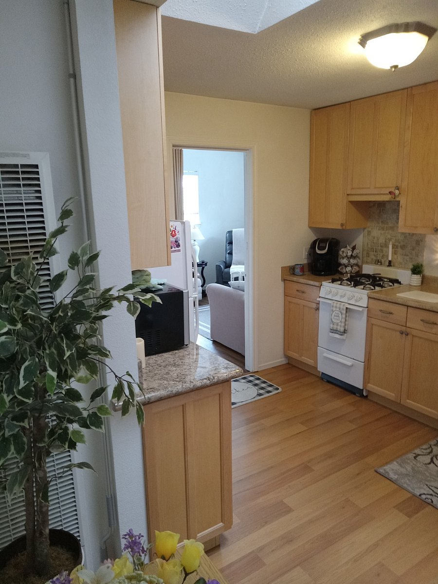 Kitchen pic 2
