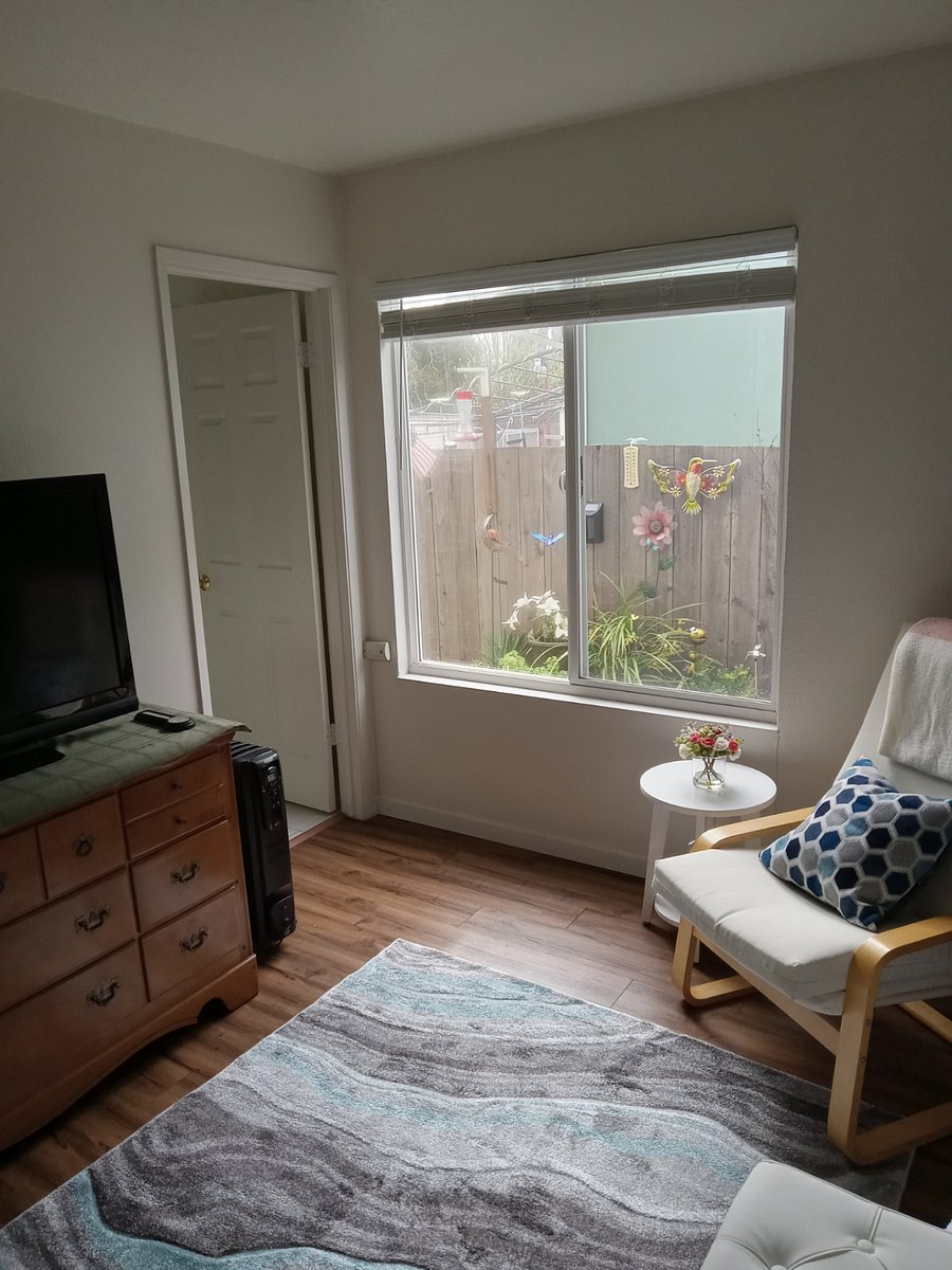 Plant section beyond window