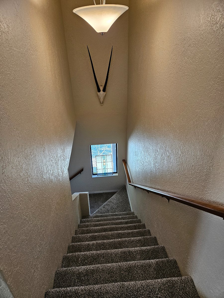 Furnished Finder property 671168_1 photo 33