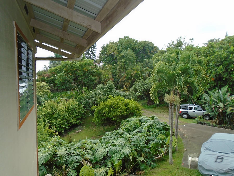 View of yard from entry
