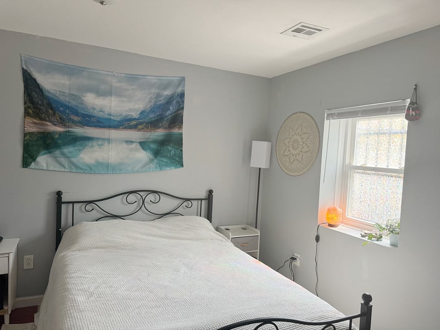 large bedroom, desk and monitor included, 1 closet