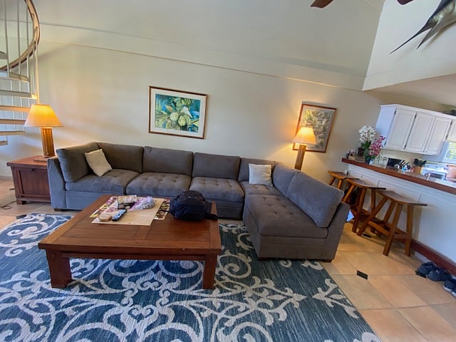 Comfortable seating in living room