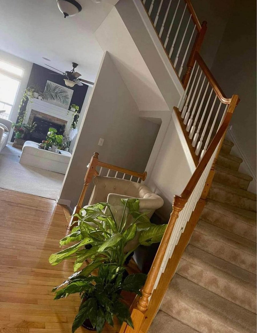 Furnished Finder property 671665_1 photo 9