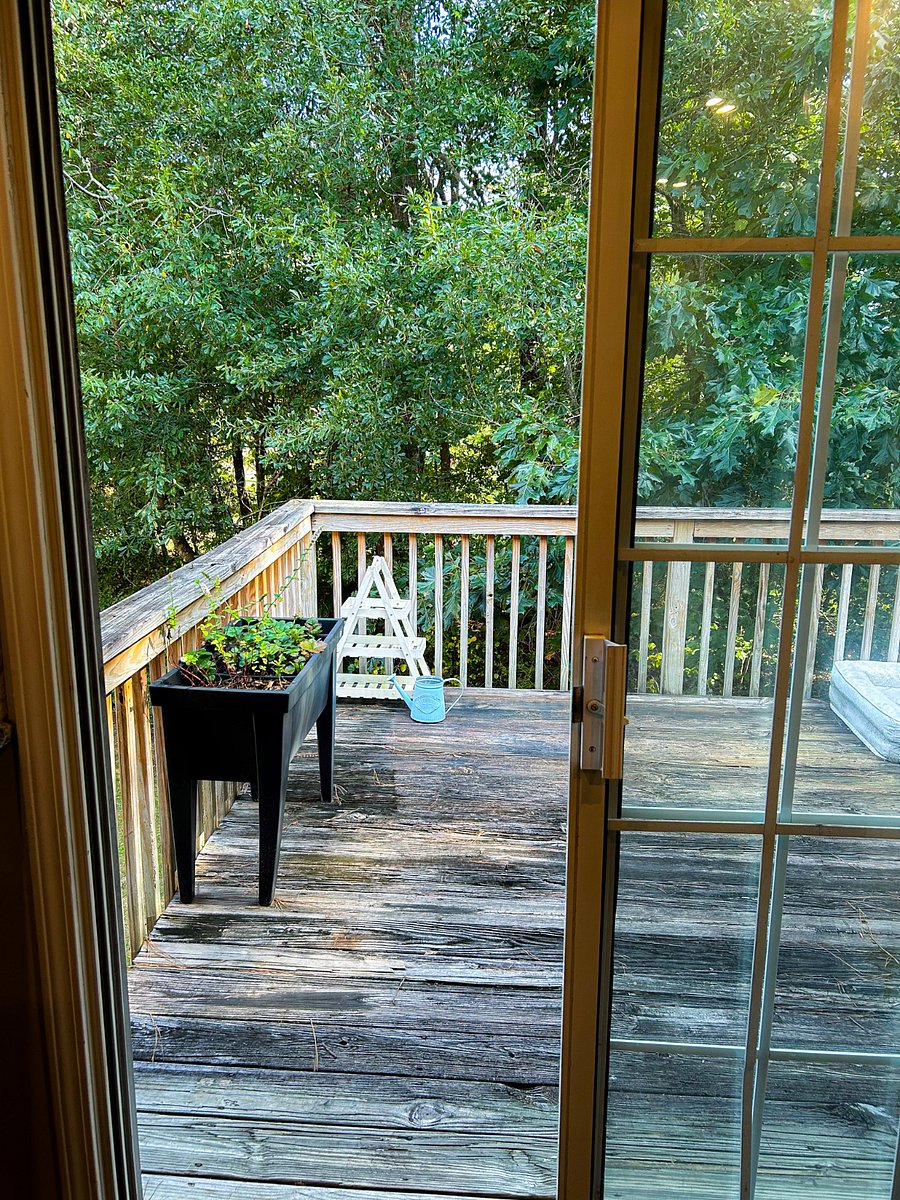 Furnished Finder property 671759_1 photo 8