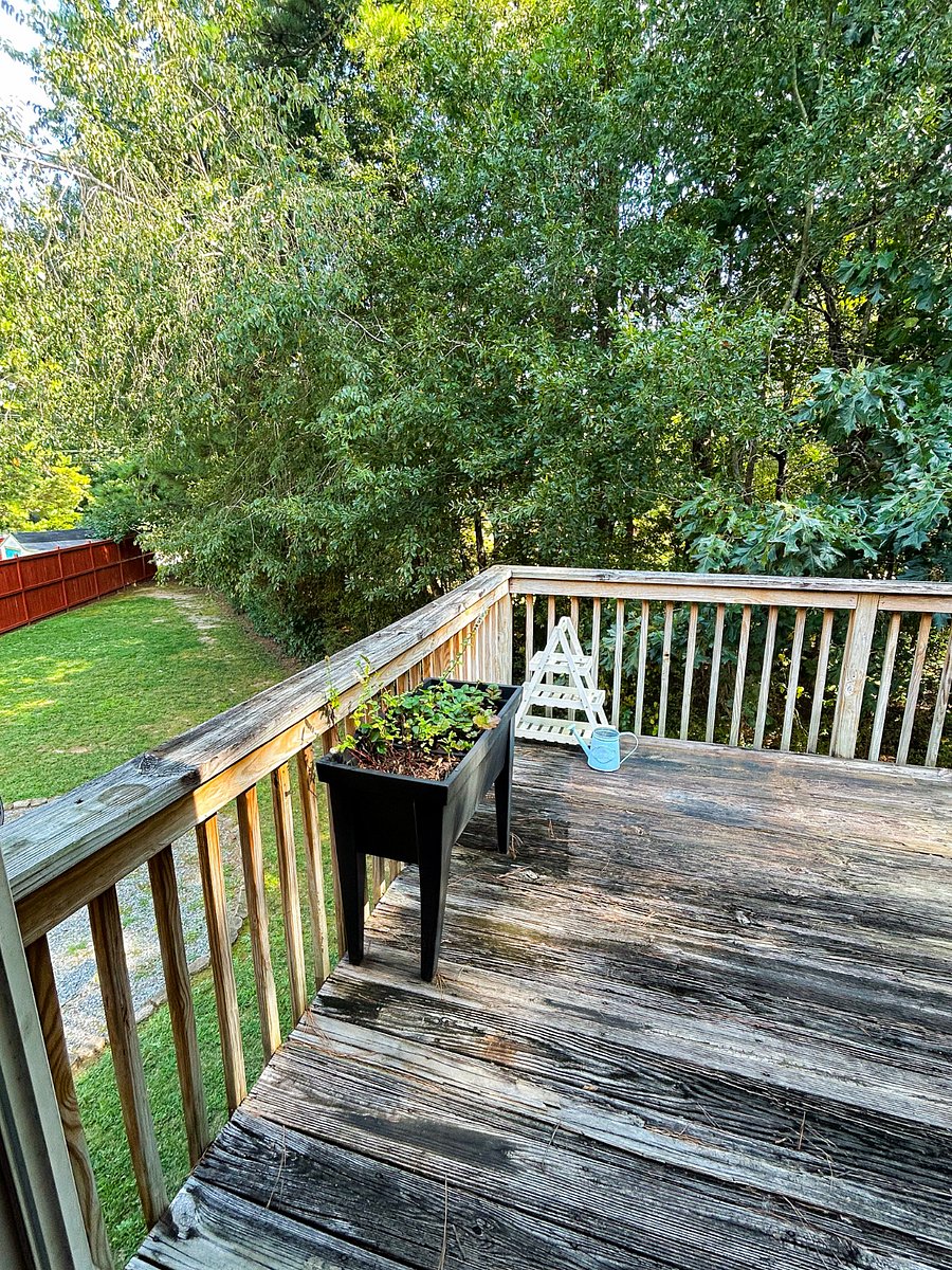 Furnished Finder property 671759_1 photo 9