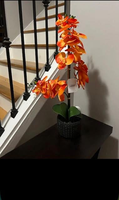 Furnished Finder property 671780_1 photo 3