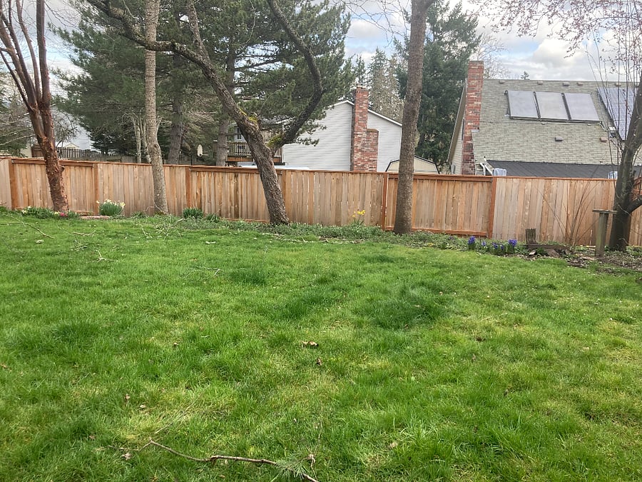Fully fenced back yard perfect for your dog! Owner loves cats and dogs, only has indoor cat that stays upstairs. 