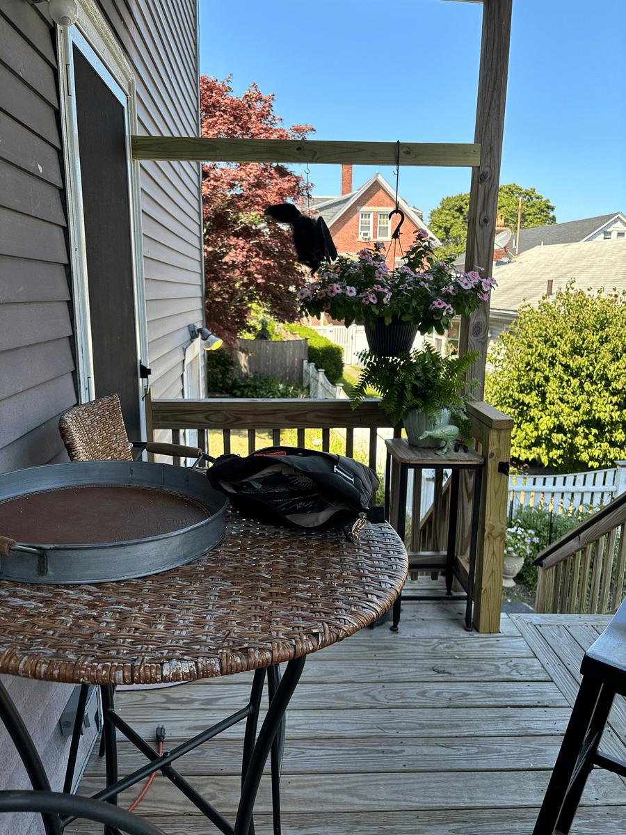 Back Porch