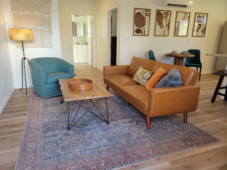 Living room with fold-out couch for guest sleeping