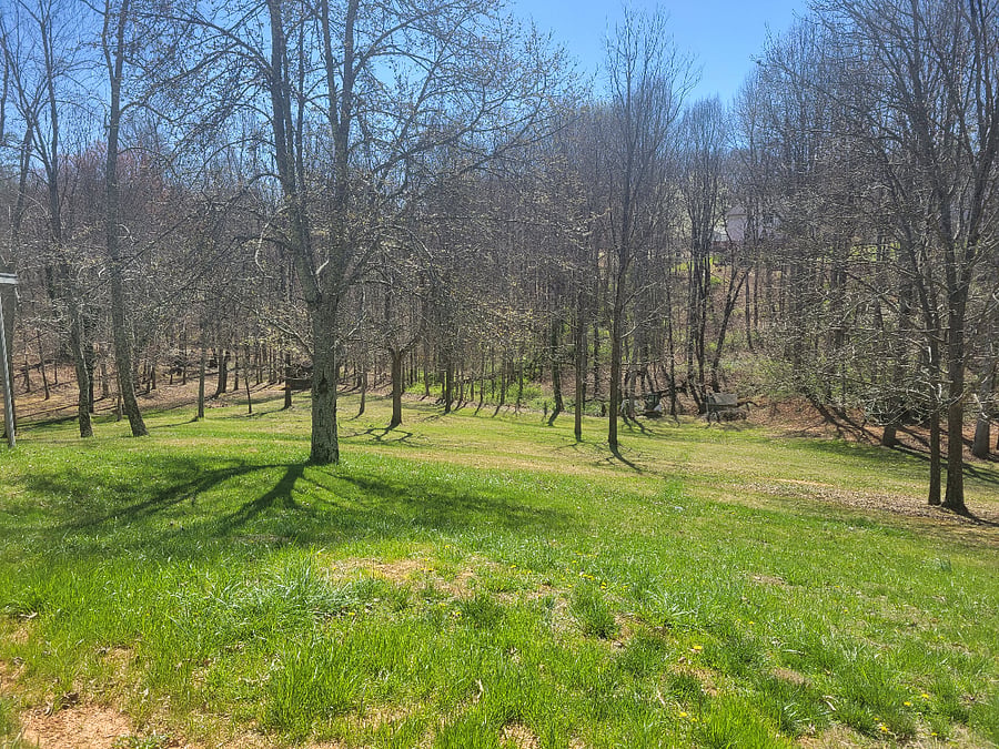 Backyard of house with natural spring water